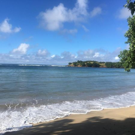 Studio Ana Martinique La Trinite Ngoại thất bức ảnh