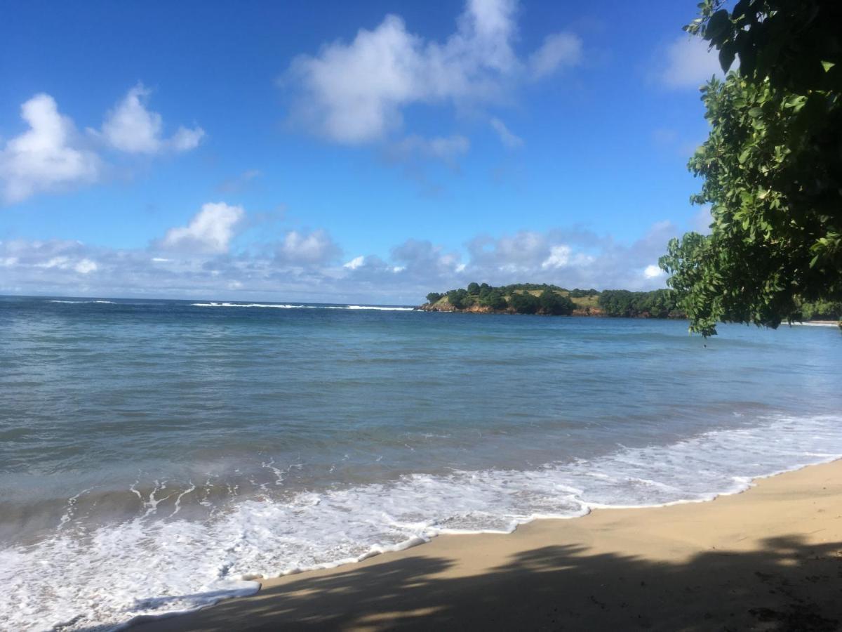 Studio Ana Martinique La Trinite Ngoại thất bức ảnh