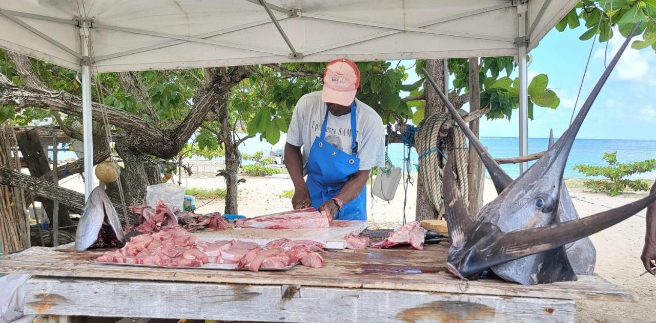 Studio Ana Martinique La Trinite Ngoại thất bức ảnh